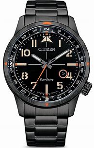 Image result for Citizen Pilot Watches
