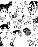 Image result for Animal above Three Clip Art Black and White