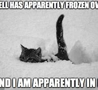 Image result for Snow Cat Meme
