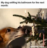 Image result for Humorous Doodle Dog Christmas Meme