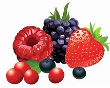Image result for Vector Fruit Illustratre