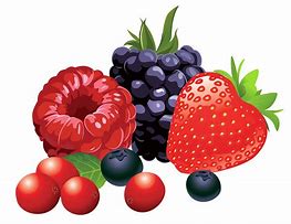 Image result for Fruit Background Clip Art 4K