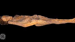 Image result for Vernal Utah Mummies