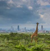 Image result for Pictures of Kenya Africa