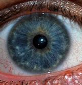 Image result for Retina Iris