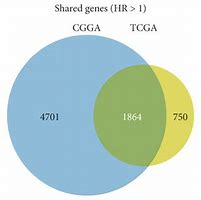 Image result for How Are DNA Genes and Chromosomes Related