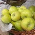 Image result for Yellow Apple Varieties