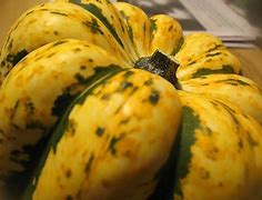 Image result for Squash Something