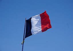 Billedresultat for French Flag