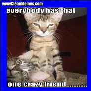 Image result for That One Crazy Friend Meme