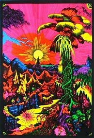 Image result for Vintage Psychedelic Blacklight Posters