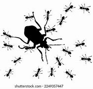 Image result for Android Bug Hunting