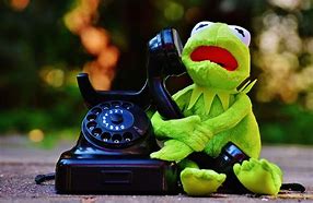 Image result for Cute Kermit the Frog Wallpapers