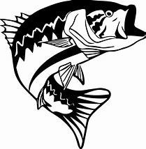 Image result for Bass Fish Jumping Hook Clip Art