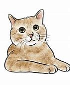 Image result for Ginger Cat Meme