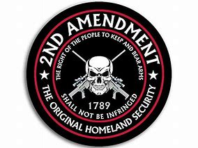 Image result for 2nd Amendment Truck Decals