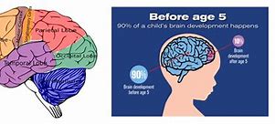 Image result for Child Brain Development