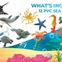 Image result for Sea Life Toys Bath