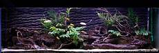 vasche aperte per acquari realizzazione di acquari su misura roma aquarium vasche aperte per acquari realizzazione di acquari su misura roma aquarium