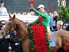 Image result for Derby Horse Winner