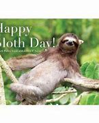 Image result for Happy Sloth Wednesday
