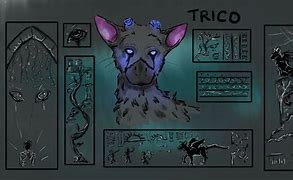Image result for act8nom�trico