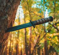 Image result for Hollow Handle Survival Knife