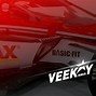 Image result for Veekay IndyCar