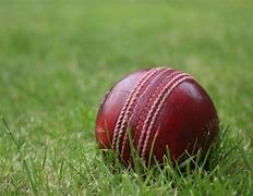 Image result for Cricket Ball Parts