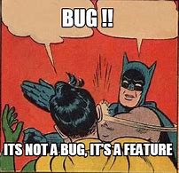 Image result for Bug/Feature Meme