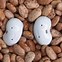 Image result for Latest Samsung Phone Earbud