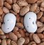 Image result for Galaxy Buds Ear Pieces