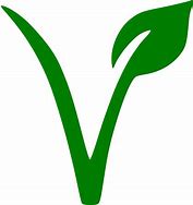Image result for Vegetarian VG Symbol