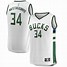 Image result for Giannis Antetokounmpo City Edition Jersey