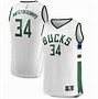 Image result for Giannis Purple Green Jersey