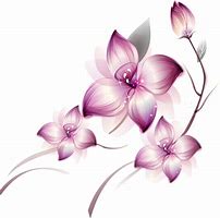 Image result for Pink and Purple Flowers PNG