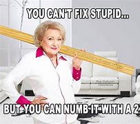 Image result for You Can't Fix Stupid Meme