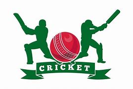Image result for Cricket Batman Logo