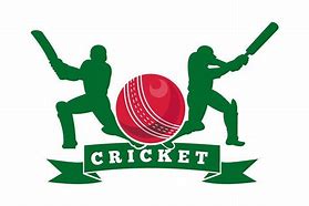 Image result for Cricket Bowler Symbol Team