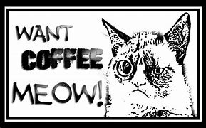 Image result for Cats with Coffee Meme