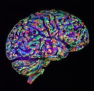 Image result for Human Brain and Universe