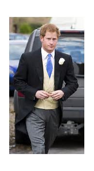 Image result for Prince Harry in a Dress