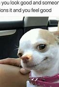 Image result for Chihuahua Smile Meme