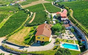 Image result for Boas Quintas Douro Cytisus