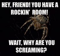 Image result for Hobo Spider Meme