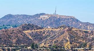 Image result for cali stock