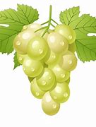 Image result for Grapes Cartoon