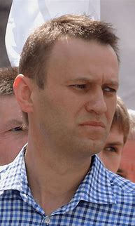 Image result for Nawalny Prison