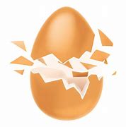 Image result for Eggshell Clip Art
