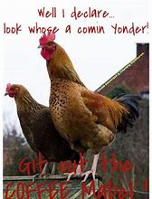 Image result for Rooster Funny Quotes and Pictures
